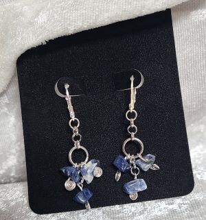 Earrings - Blue Sodalite with Silver Spirals